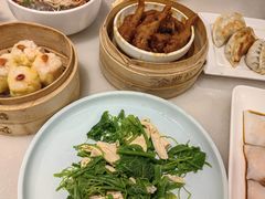 -金鼎轩(方庄天坛店)