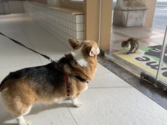 -柏萃动物医院·骨科·牙科