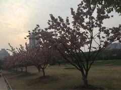iphone_upload_pic-中科大东区东苑餐厅(天使路店)