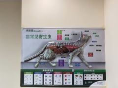 -瑞派紫金宠物医院24小时·骨科·中兽医·重症转诊中心(番禺大石院)