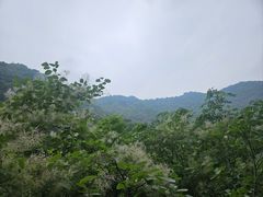-西安金龙峡风景区