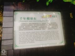 -呀诺达热带雨林