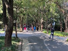 -东湖落雁景区