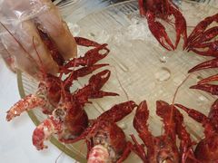 -红盔甲·小龙虾(天钥桥店)