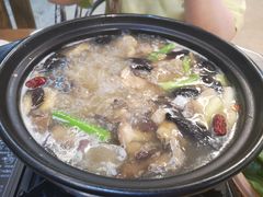 -马帮菜馆·美味野生菌
