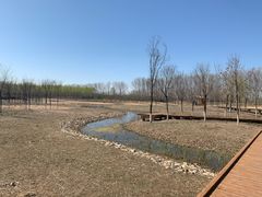 -东郊湿地公园