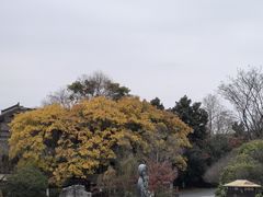 -茅山东方盐湖城景区