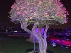 -南通洲际绿博园