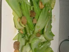 -大鸽饭(动物园店)