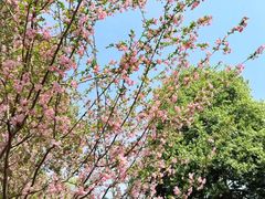 -浙江农林大学(东湖校区)