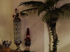 -Uncle Kosto科斯托·中东菜