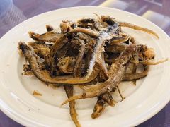 糟小黄鱼-绍兴饭店知遇楼(环山路店)