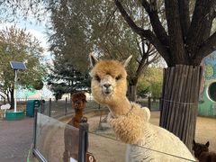 -鄂尔多斯野生动物园