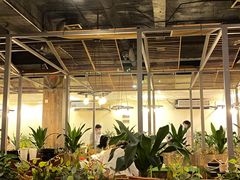 大堂-润泽园海南椰子鸡·糟粕醋火锅(拱北店)