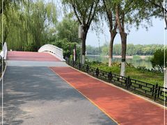 -大兴滨河森林公园