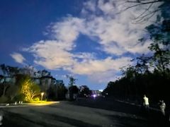-庾园