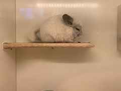 -龙猫仔乐园(惠福东路店)