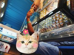 -沃洛格达(万象城n次方店)