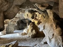 -上海吴淞炮台湾国家湿地公园