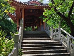 -柳侯公园