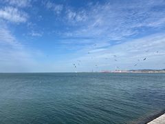 -悦海公园