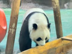 -五龙山野生动物王国