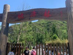 -快活林烧烤(红新路店)