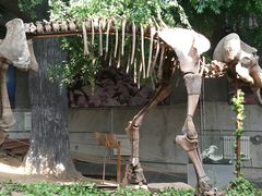 -中国第四纪冰川遗迹陈列馆