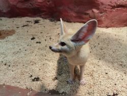 -Zoolung Zoolung动物主题公园(海信广场店)