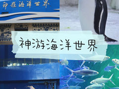 -威海华夏城景区