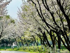 -沙家浜风景区