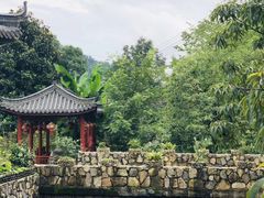 -东天目山风景区