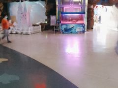 -烟台海昌鲸鲨海洋公园