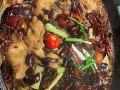 -老板恋上鱼(恒隆广场店)