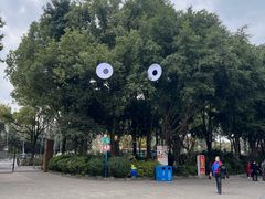-南湖梦幻岛