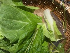 -有一锅·黑山羊腊排骨野生菌火锅(黑龙潭旗舰店)