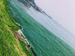 -青岛第二海水浴场