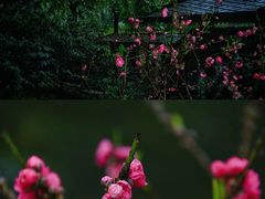 -桃花涧