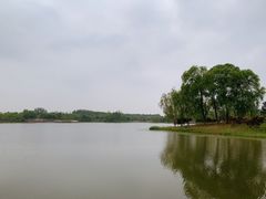 -东郊湿地公园