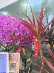 -苏豪美发S A L O N烫发染发