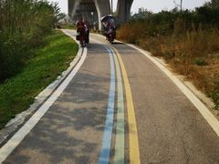 -桤木河湿地公园