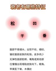 -玛莲朵·海菲秀冰珀科