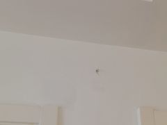 -大宅设计设计店铺(浦东店)