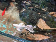 -太平洋海底世界