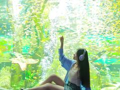 -合肥海洋世界