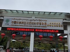 -中国科学院西双版纳热带植物园