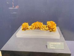 -温州博物馆