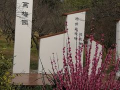 -无锡梅园公园