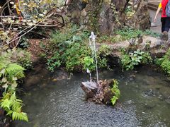 -黄山翡翠谷景区