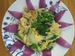 -天鹅到家·保姆月嫂育儿嫂(朝阳店)